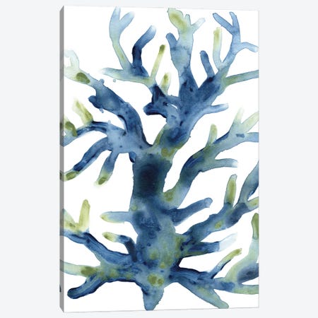 Liquid Coral III Canvas Print #JEV3081} by June Erica Vess Canvas Artwork
