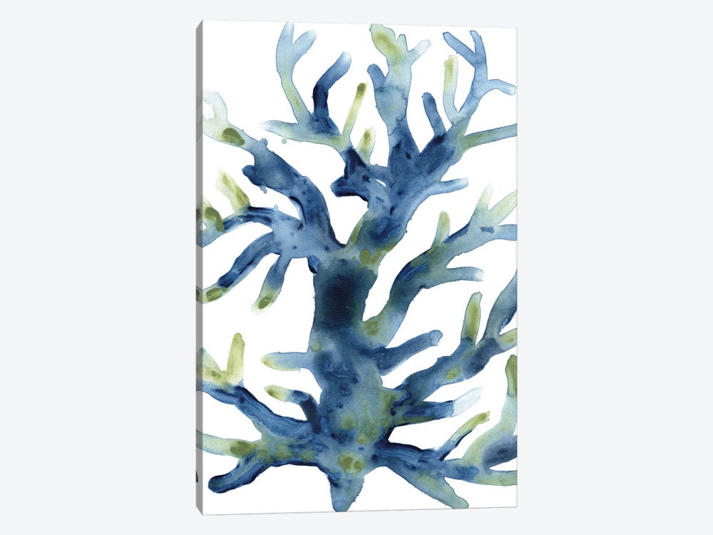 Liquid Coral III by June Erica Vess 1-piece Canvas Wall Art