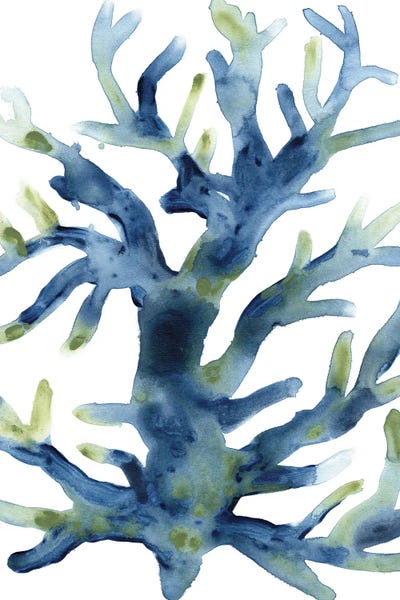 Coral: Liquid Coral III by June Erica Vess