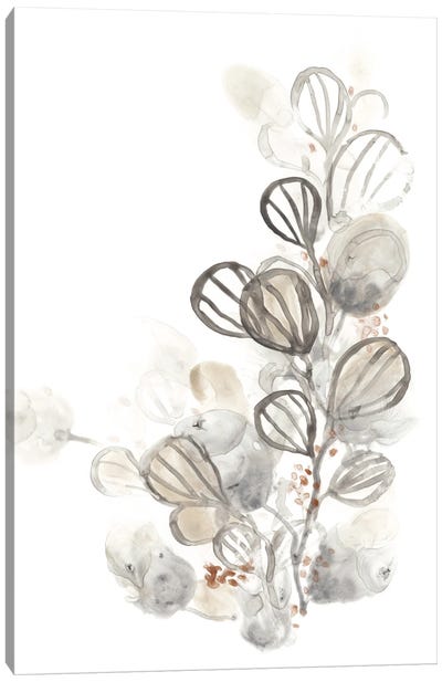 Neutral Botany I Canvas Art Print - Abstract Floral & Botanical Art