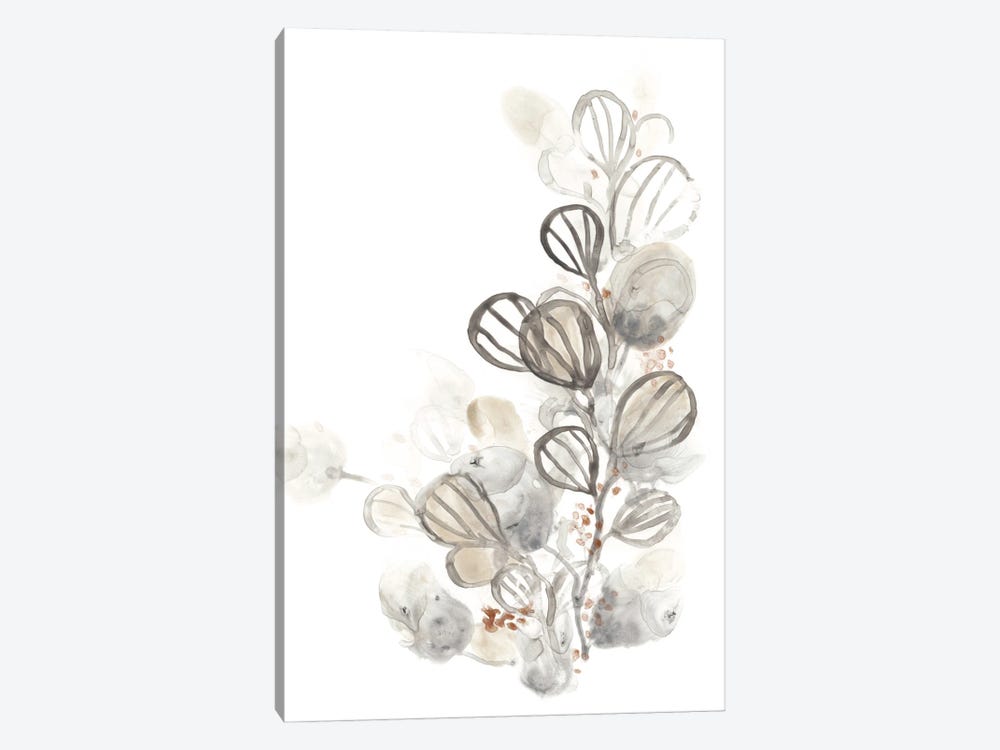 Neutral Botany I by June Erica Vess 1-piece Canvas Art Print