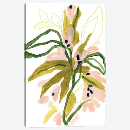 Tropical Cadenza I Canvas Print #JEV3138} by June Erica Vess Canvas Artwork