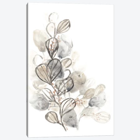 Neutral Botany II Canvas Print #JEV313} by June Erica Vess Canvas Art