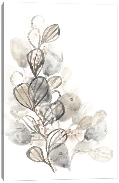 Neutral Botany II Canvas Art Print - June Erica Vess