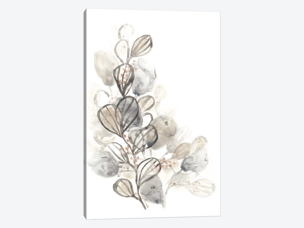 Neutral Botany II by June Erica Vess 1-piece Canvas Wall Art