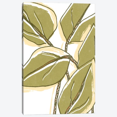 Tropical Offset I Canvas Print #JEV3142} by June Erica Vess Canvas Print