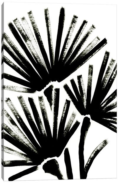Fan Brush II Canvas Art Print - Black & White Patterns