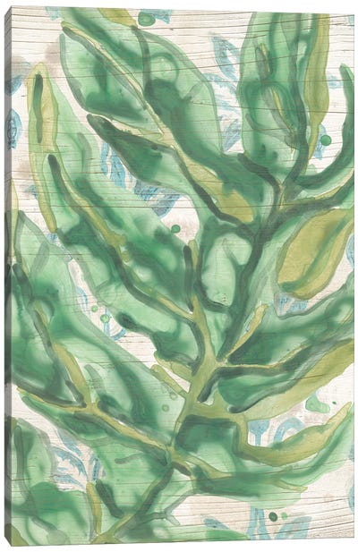 Palms & Patterns II Canvas Art Print - June Erica Vess