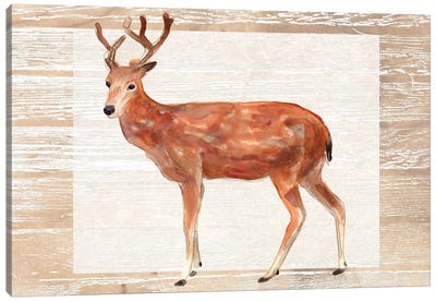 Rustic Barnwood Animals IV Canvas Art Print - June Erica Vess