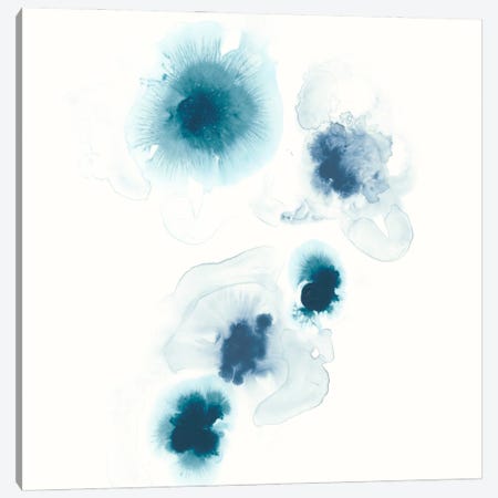 Protea Blue I Canvas Print #JEV318} by June Erica Vess Canvas Artwork