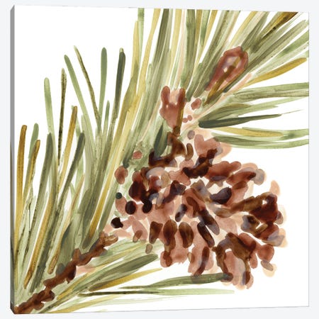 Simple Pine Cone I Canvas Print #JEV3191} by June Erica Vess Canvas Wall Art