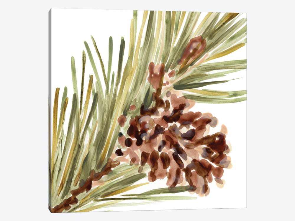 Simple Pine Cone I by June Erica Vess 1-piece Canvas Wall Art