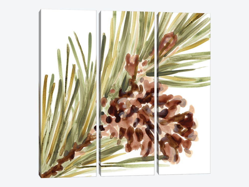 Simple Pine Cone I by June Erica Vess 3-piece Canvas Artwork
