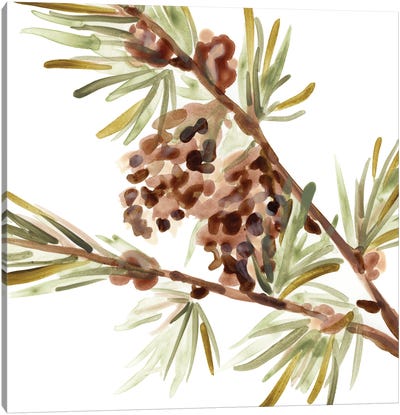 Simple Pine Cone II Canvas Art Print - June Erica Vess