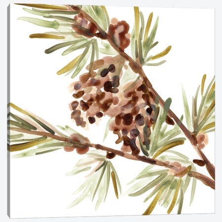 Simple Pine Cone II Canvas Print #JEV3192} by June Erica Vess Canvas Wall Art
