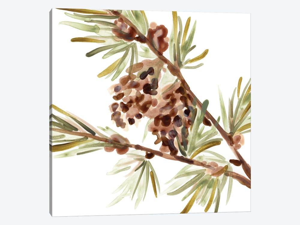 Simple Pine Cone II by June Erica Vess 1-piece Canvas Print