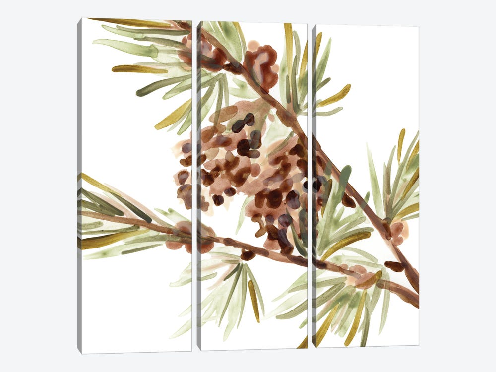 Simple Pine Cone II by June Erica Vess 3-piece Canvas Print