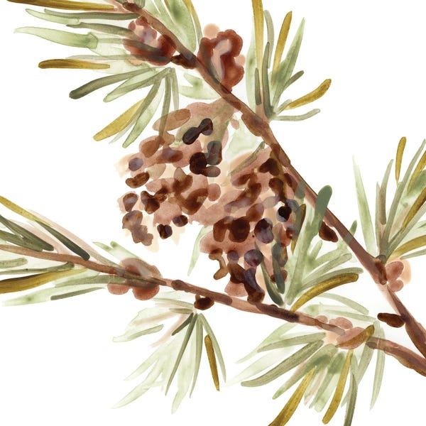 Lakehouse Décor: Simple Pine Cone II by June Erica Vess