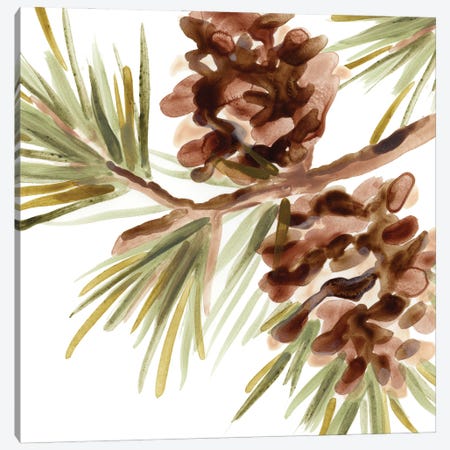 Simple Pine Cone IV Canvas Print #JEV3194} by June Erica Vess Art Print
