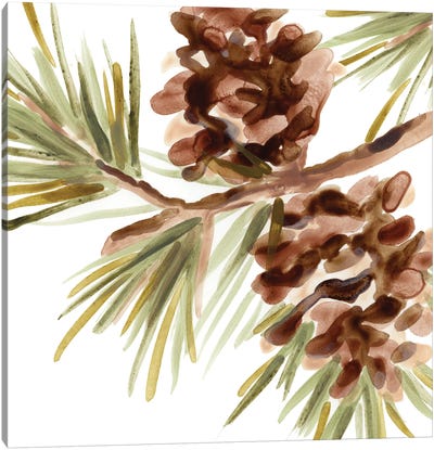 Simple Pine Cone IV Canvas Art Print - Lakehouse Décor