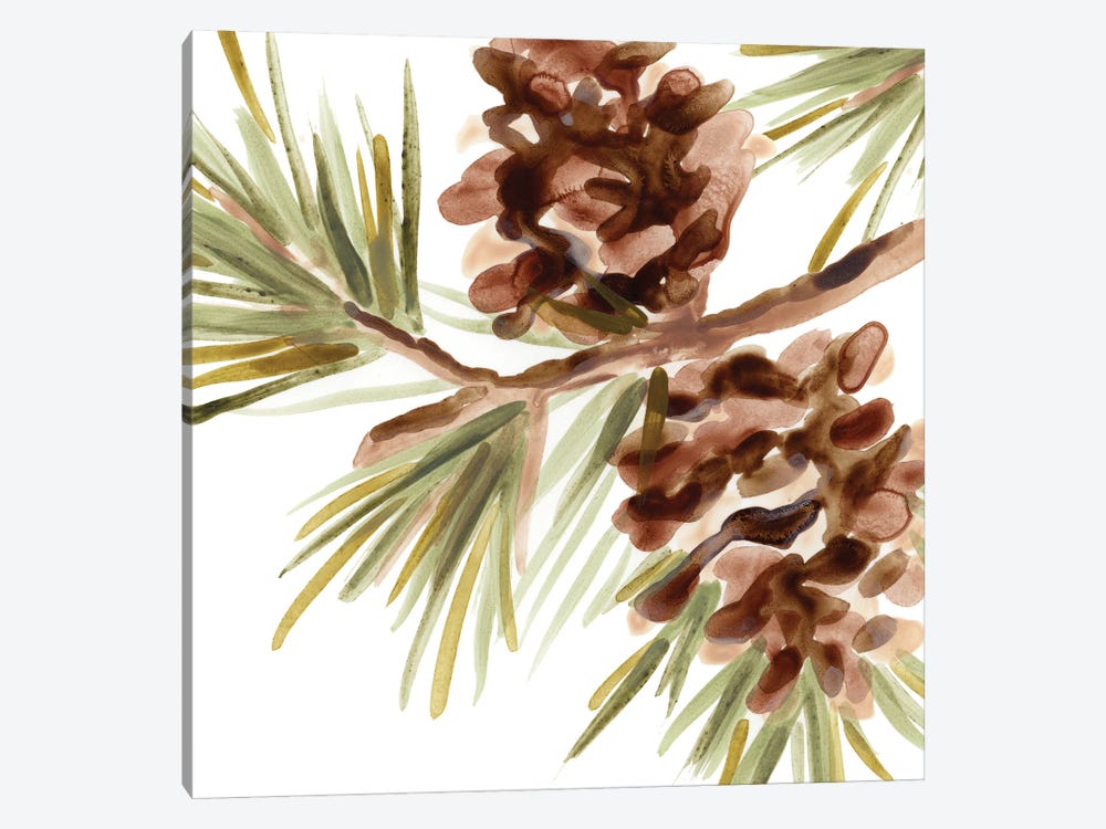 Simple Pine Cone IV by June Erica Vess 1-piece Canvas Art Print