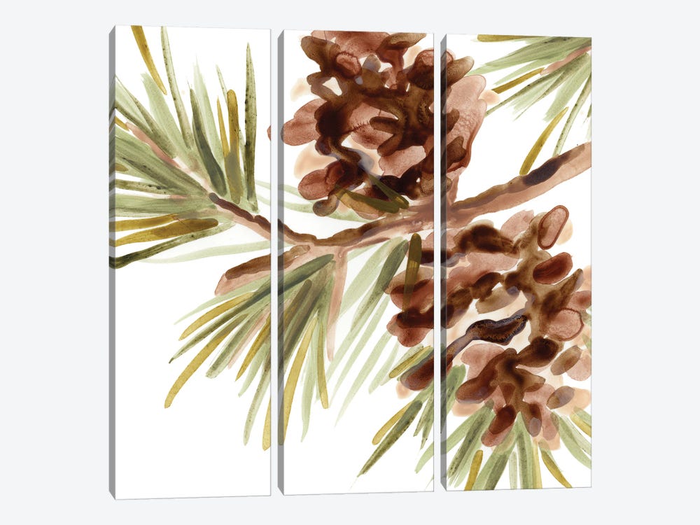 Simple Pine Cone IV by June Erica Vess 3-piece Canvas Art Print