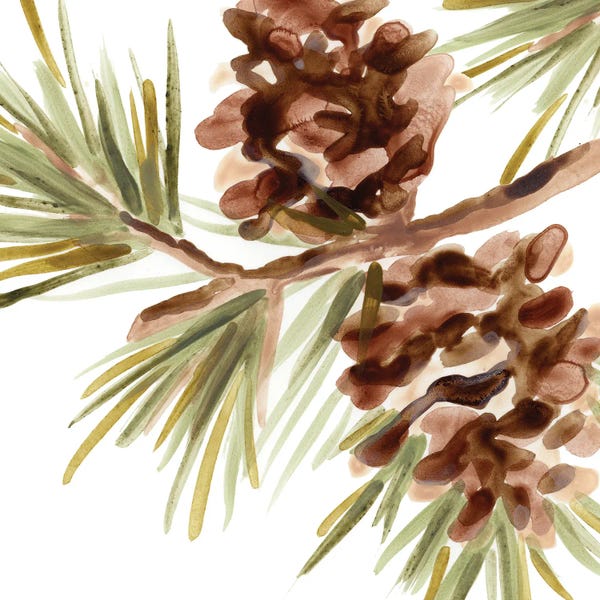 Pine Trees: Simple Pine Cone IV by June Erica Vess