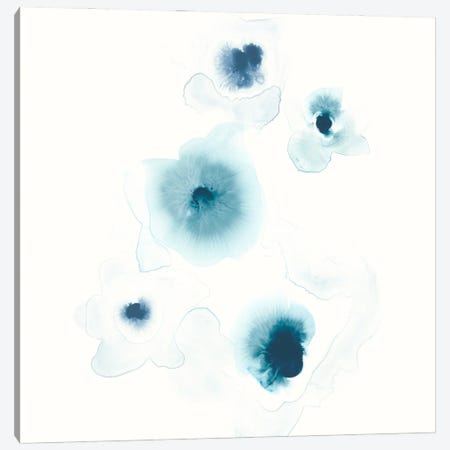 Protea Blue II Canvas Print #JEV319} by June Erica Vess Canvas Art