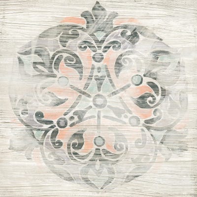 Weathered Emblem IV by June Erica Vess art print