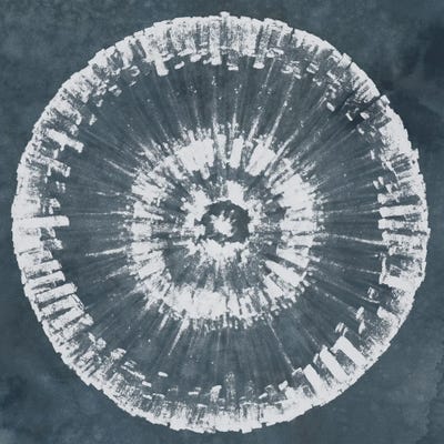 Batik Bullseye IV by June Erica Vess canvas print