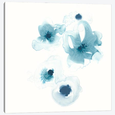 Protea Blue III Canvas Print #JEV320} by June Erica Vess Canvas Print