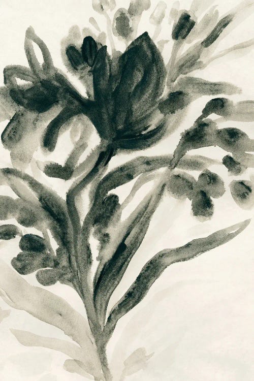 Ebony Bouquet I by June Erica Vess wall art