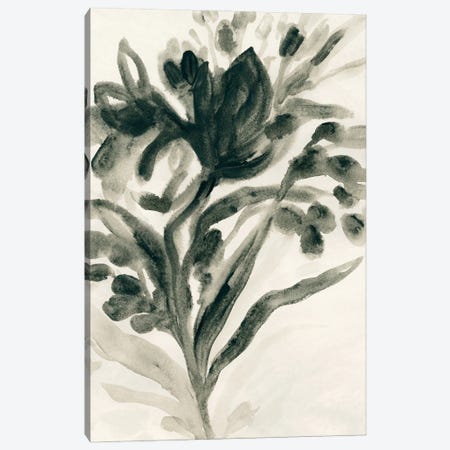 Ebony Bouquet I Canvas Print #JEV3213} by June Erica Vess Canvas Print