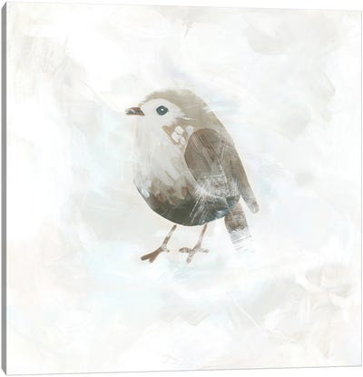 Feathered Fresco IV Canvas Art Print - June Erica Vess