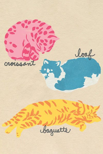 Dopamine Decor: Important Cat Shapes II by June Erica Vess