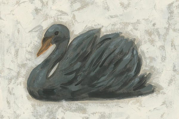 White Swan/Black Swan I