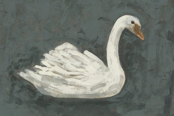 June Erica Vess: White Swan/Black Swan II by June Erica Vess