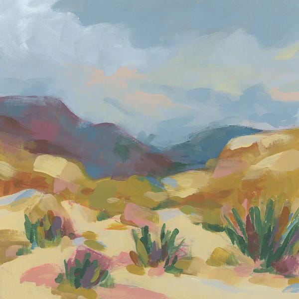 Desert Vista I