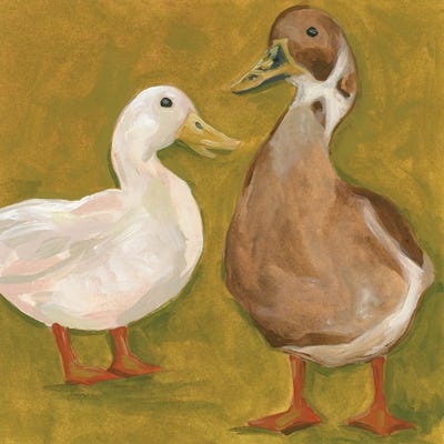 Canvas Print: Naive Duck Pair I by June Erica Vess - thumbnail