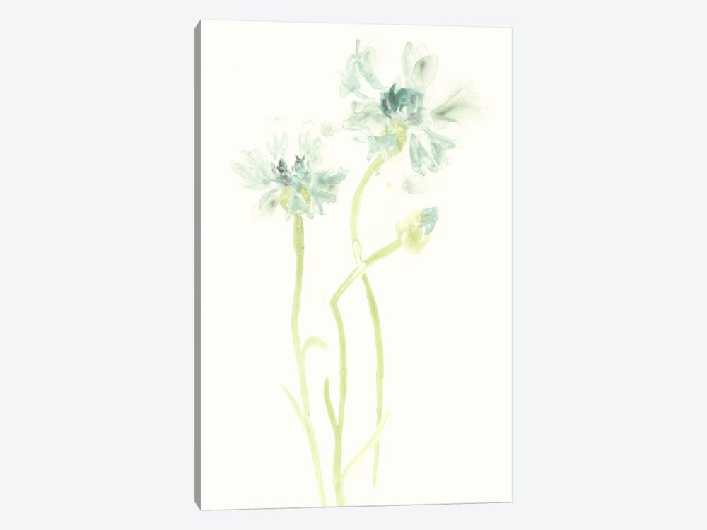 Cornflower Study II by June Erica Vess 1-piece Art Print