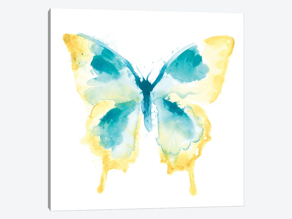 Butterfly Traces II by June Erica Vess 1-piece Canvas Wall Art