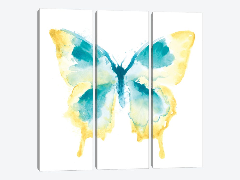 Butterfly Traces II by June Erica Vess 3-piece Canvas Artwork