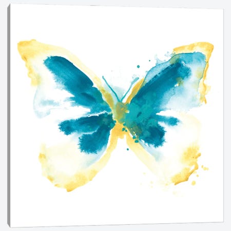 Butterfly Traces III Canvas Print #JEV490} by June Erica Vess Art Print