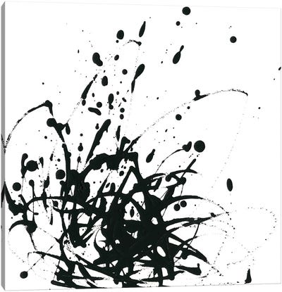 Onyx Expression I Canvas Art Print - Black & White Abstract Art