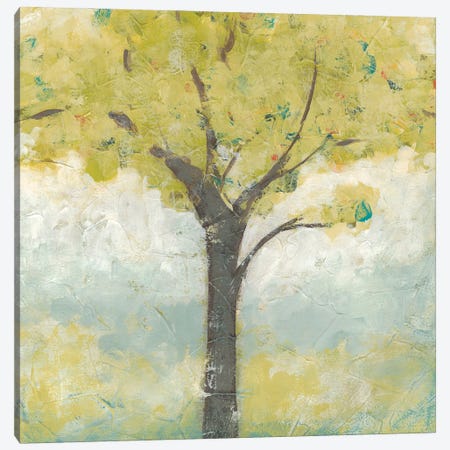Spring Arbor I Canvas Print #JEV645} by June Erica Vess Canvas Art Print