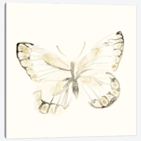 Sepia Butterfly Impressions I Canvas Print #JEV839} by June Erica Vess Canvas Art Print