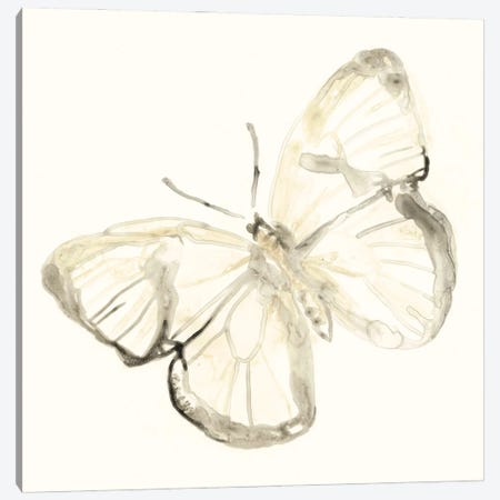 Sepia Butterfly Impressions III Canvas Print #JEV841} by June Erica Vess Canvas Wall Art