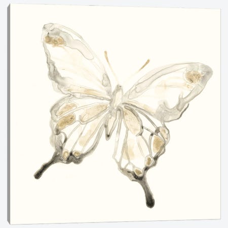 Sepia Butterfly Impressions IV Canvas Print #JEV842} by June Erica Vess Canvas Artwork