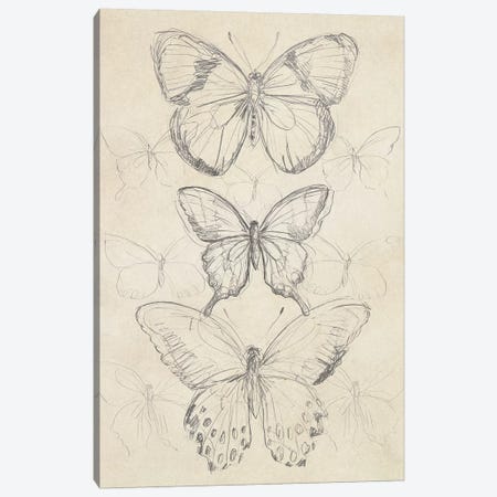 Vintage Butterfly Sketch I Canvas Print #JEV863} by June Erica Vess Canvas Art