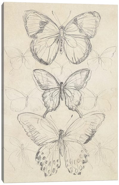 Vintage Butterfly Sketch I Canvas Art Print - June Erica Vess